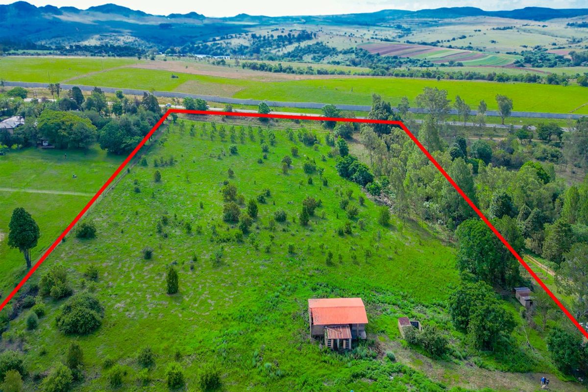 Vacant Land Residential For Sale in Lammermoor - Photo 4