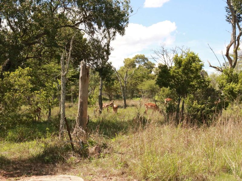 Vacant Land Residential For Sale in Koro Creek Golf Estate - Photo 10