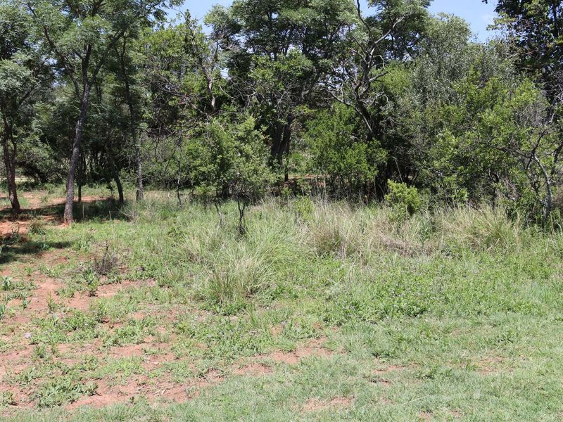 Vacant Land Residential For Sale in Koro Creek Golf Estate - Photo 4