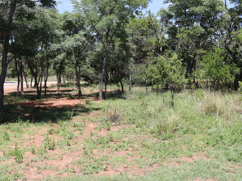 Vacant Land Residential For Sale in Koro Creek Golf Estate - Photo 3