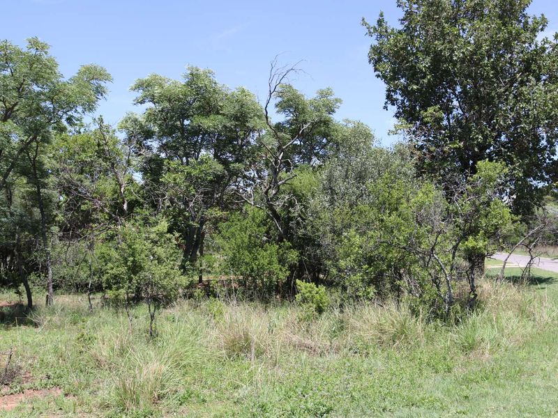 Vacant Land Residential For Sale in Koro Creek Golf Estate - Photo 5