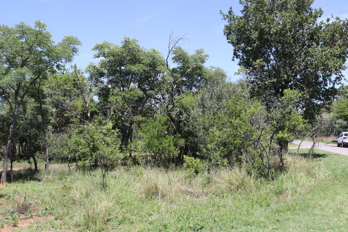 Vacant Land Residential For Sale in Koro Creek Golf Estate - Photo 5