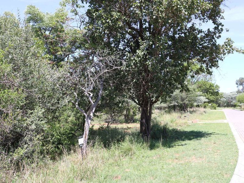 Vacant Land Residential For Sale in Koro Creek Golf Estate - Photo 2