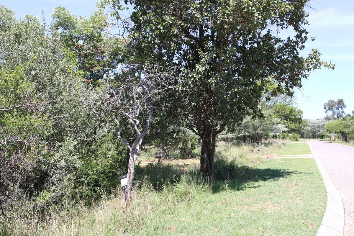 Vacant Land Residential For Sale in Koro Creek Golf Estate - Photo 2