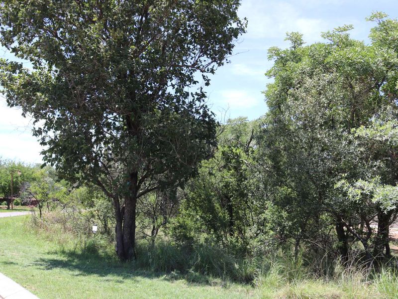 Vacant Land Residential For Sale in Koro Creek Golf Estate - Photo 8