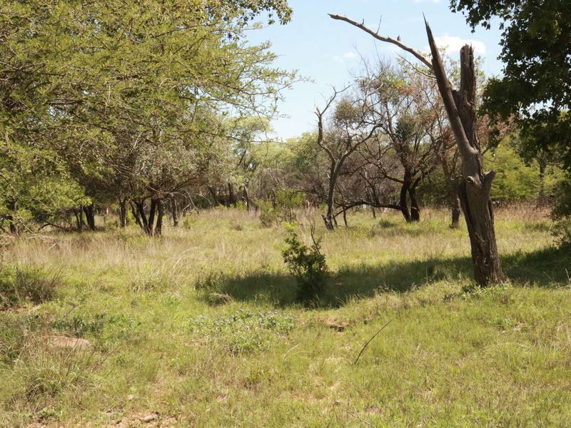 Vacant Land Residential For Sale in Koro Creek Golf Estate - Photo 3