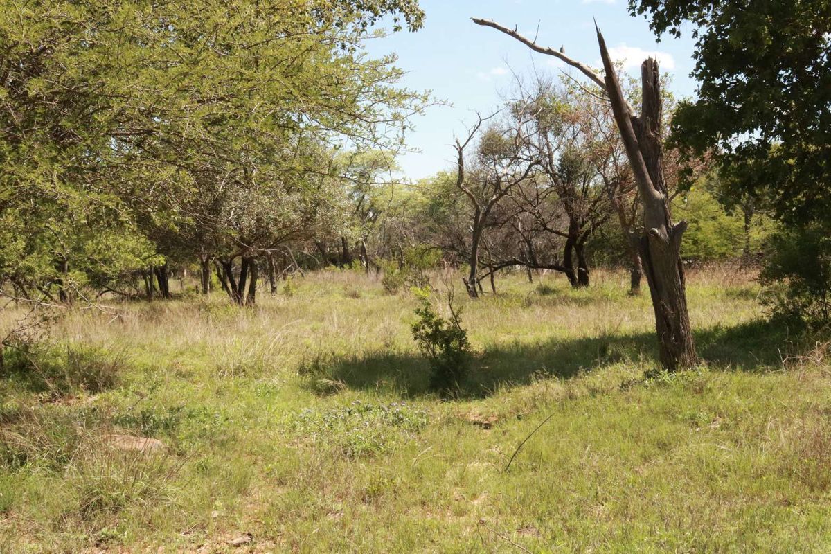 Vacant Land Residential For Sale in Koro Creek Golf Estate - Photo 3