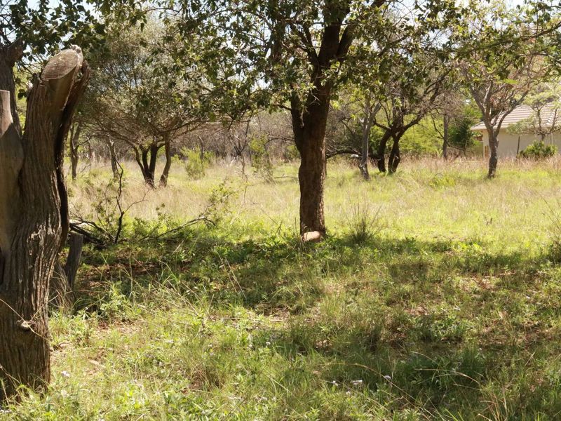 Vacant Land Residential For Sale in Koro Creek Golf Estate - Photo 7