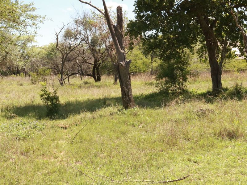 Vacant Land Residential For Sale in Koro Creek Golf Estate - Photo 4