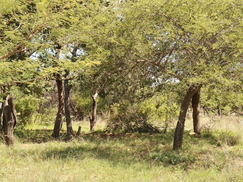 Vacant Land Residential For Sale in Koro Creek Golf Estate - Photo 2