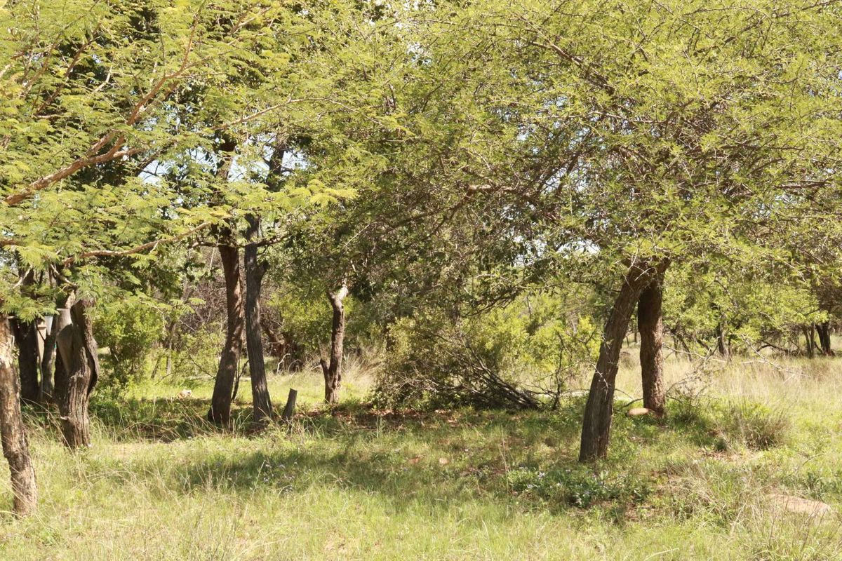 Vacant Land Residential For Sale in Koro Creek Golf Estate - Photo 2