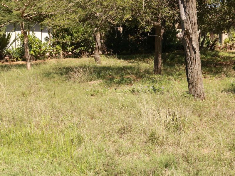 Vacant Land Residential For Sale in Koro Creek Golf Estate - Photo 9