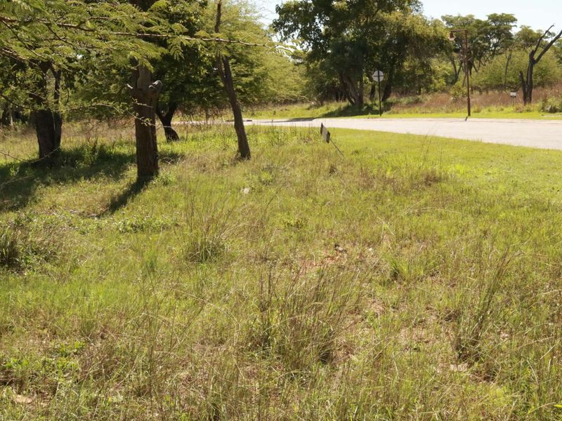 Vacant Land Residential For Sale in Koro Creek Golf Estate - Photo 6
