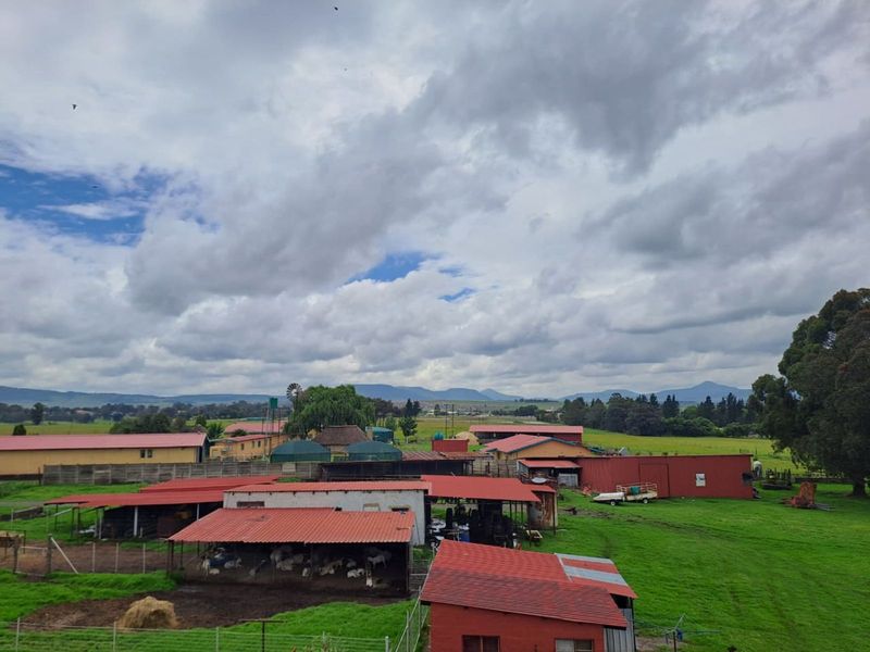Farm For Sale in Volksrust Central - Photo 3