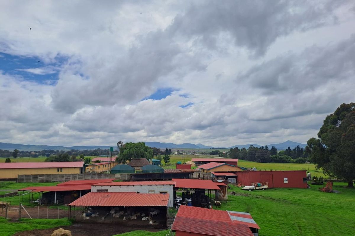 Farm For Sale in Volksrust Central - Photo 3