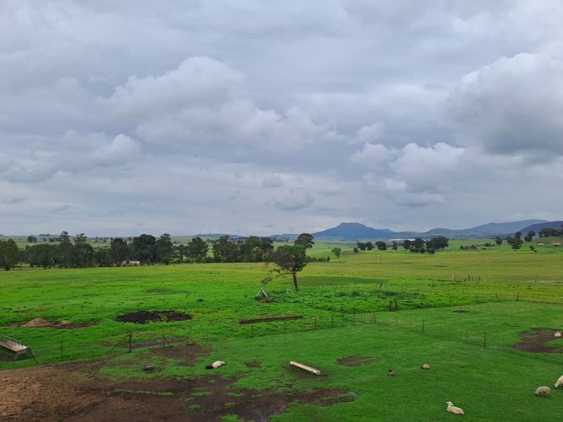 Farm For Sale in Volksrust Central - Photo 4