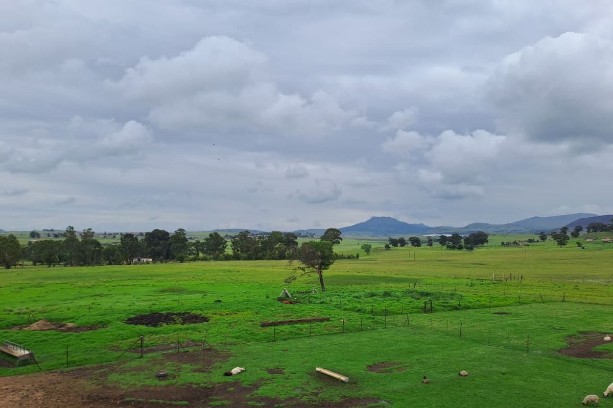 Farm For Sale in Volksrust Central - Photo 4