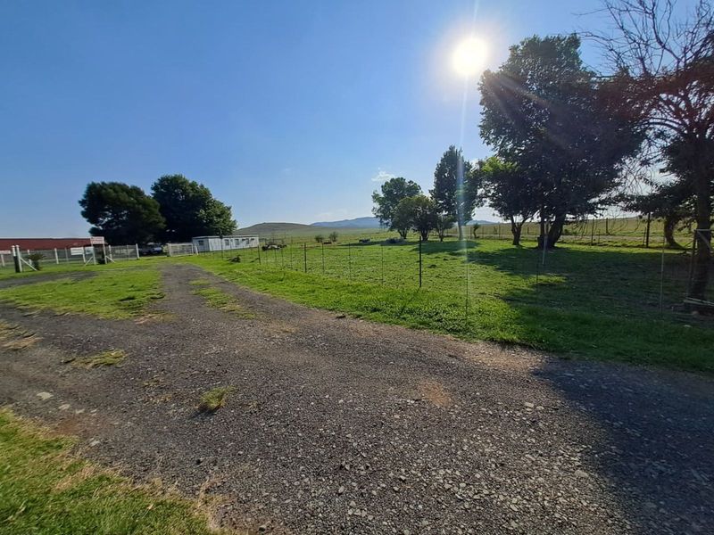 Farm For Sale in Volksrust Central - Photo 10