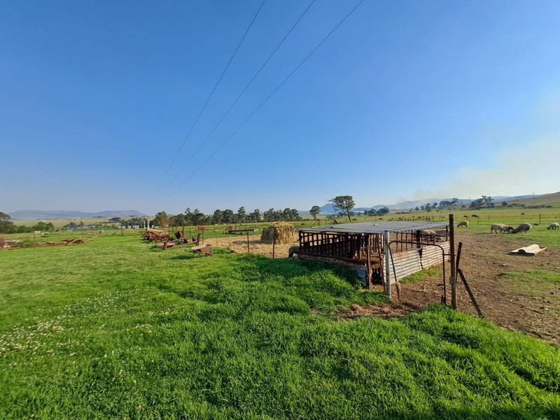 Farm For Sale in Volksrust Central - Photo 7