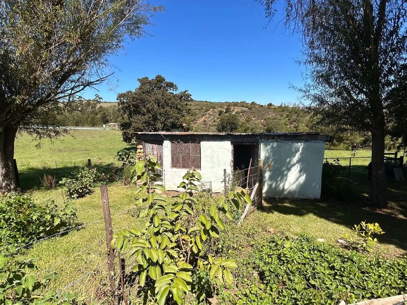 Farm For Sale in Riversdale Rural - Photo 4