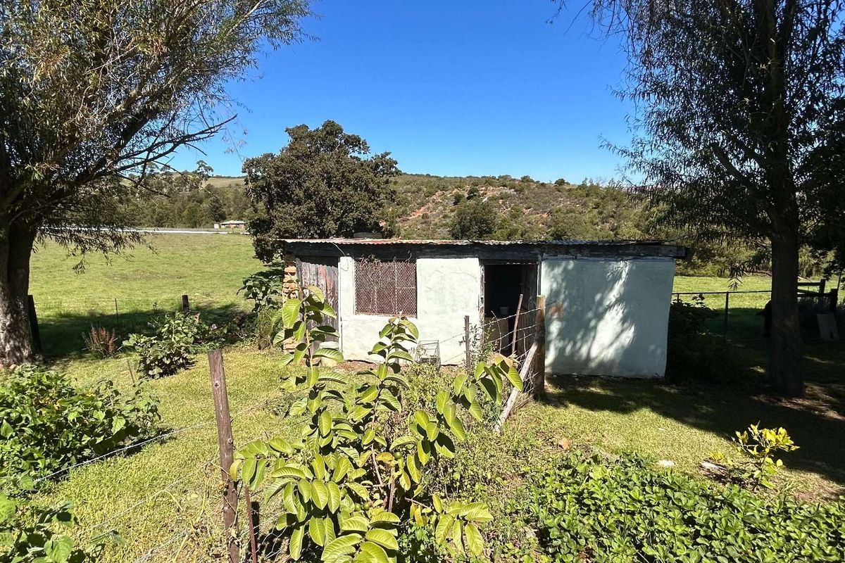 Farm For Sale in Riversdale Rural - Photo 4