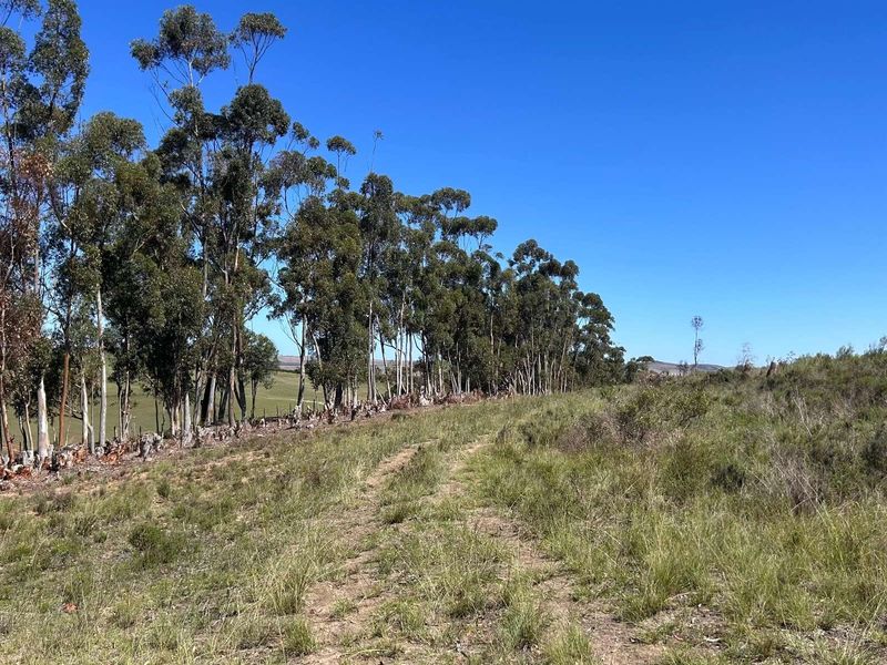 Farm For Sale in Riversdale Rural - Photo 7