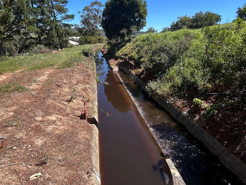 Farm For Sale in Riversdale Rural - Photo 6