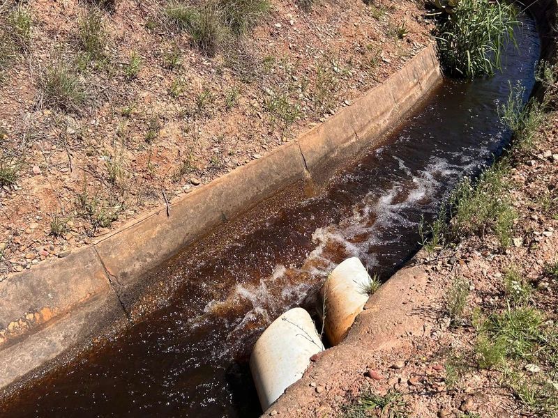 Farm For Sale in Riversdale Rural - Photo 5