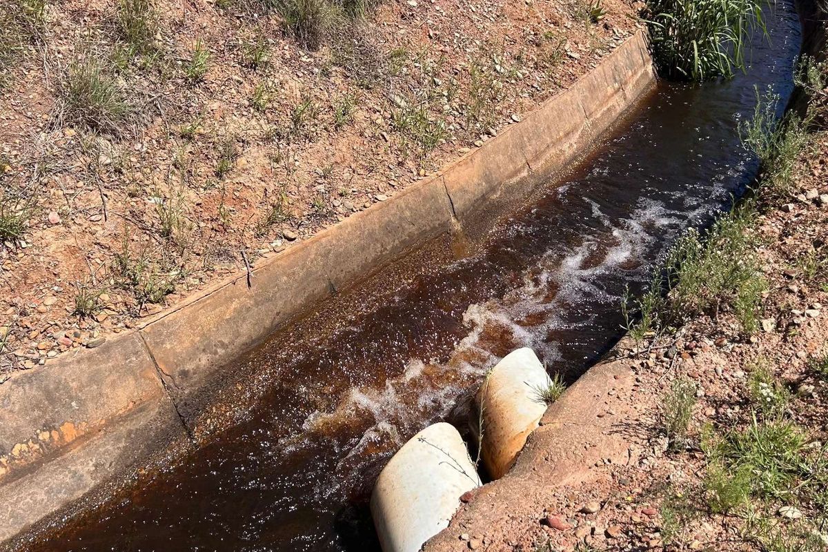 Farm For Sale in Riversdale Rural - Photo 5