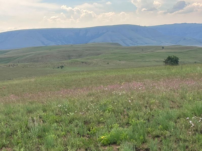 Vacant Land Residential For Sale in Badplaas Central - Photo 4