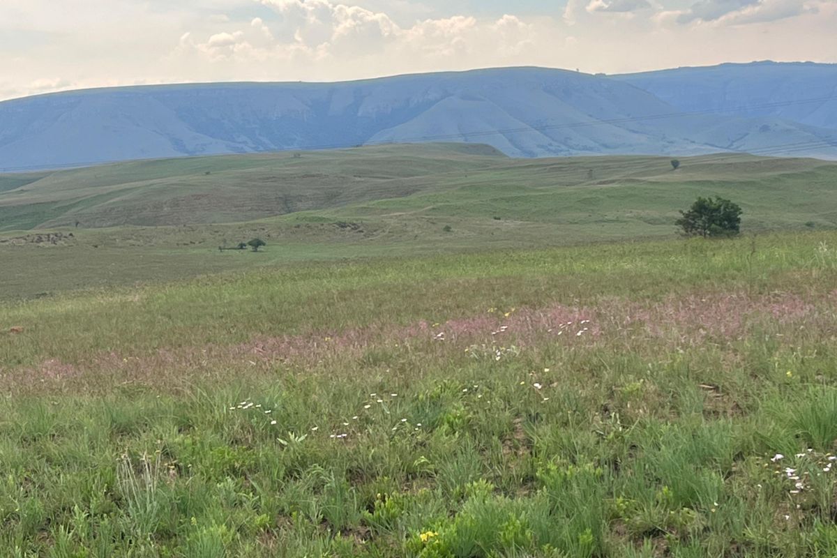 Vacant Land Residential For Sale in Badplaas Central - Photo 4