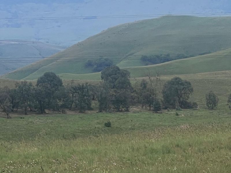 Vacant Land Residential For Sale in Badplaas Central - Photo 3