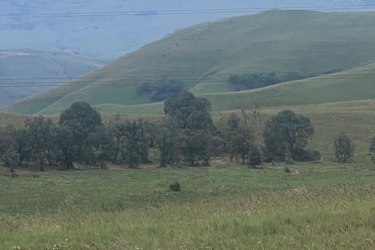 Vacant Land Residential For Sale in Badplaas Central - Photo 3