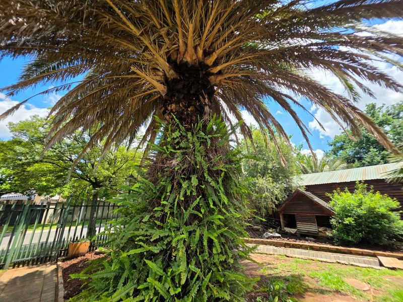 House For Sale in Secunda Central - Photo 7