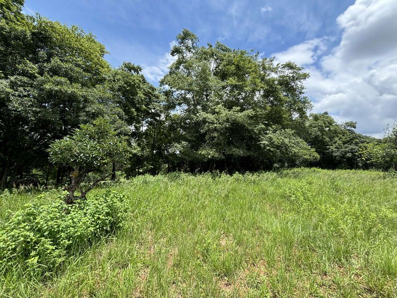 Vacant Land Residential For Sale in Doornhoek Equestrian Estate - Photo 4