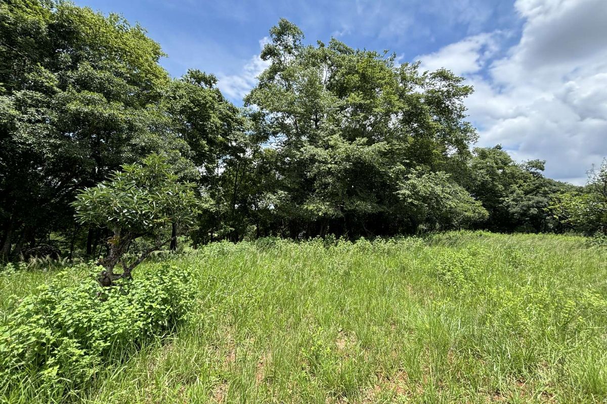 Vacant Land Residential For Sale in Doornhoek Equestrian Estate - Photo 4