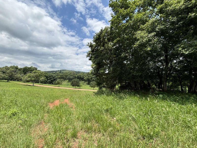 Vacant Land Residential For Sale in Doornhoek Equestrian Estate - Photo 3