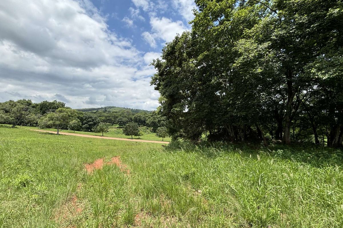 Vacant Land Residential For Sale in Doornhoek Equestrian Estate - Photo 3