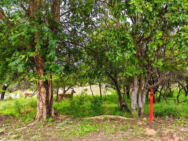 Vacant Land Residential For Sale in Koro Creek Golf Estate - Photo 6