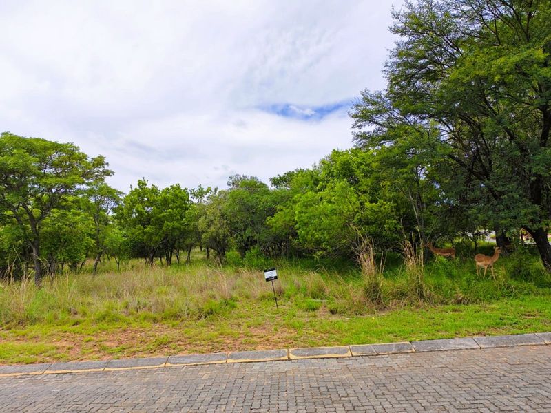 Vacant Land Residential For Sale in Koro Creek Golf Estate - Photo 4
