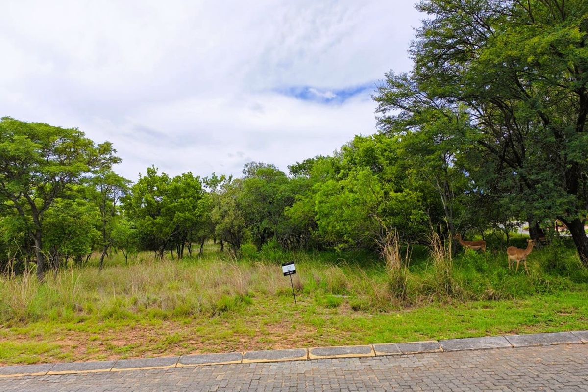 Vacant Land Residential For Sale in Koro Creek Golf Estate - Photo 4
