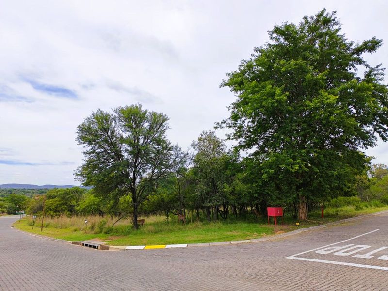 Vacant Land Residential For Sale in Koro Creek Golf Estate - Photo 10