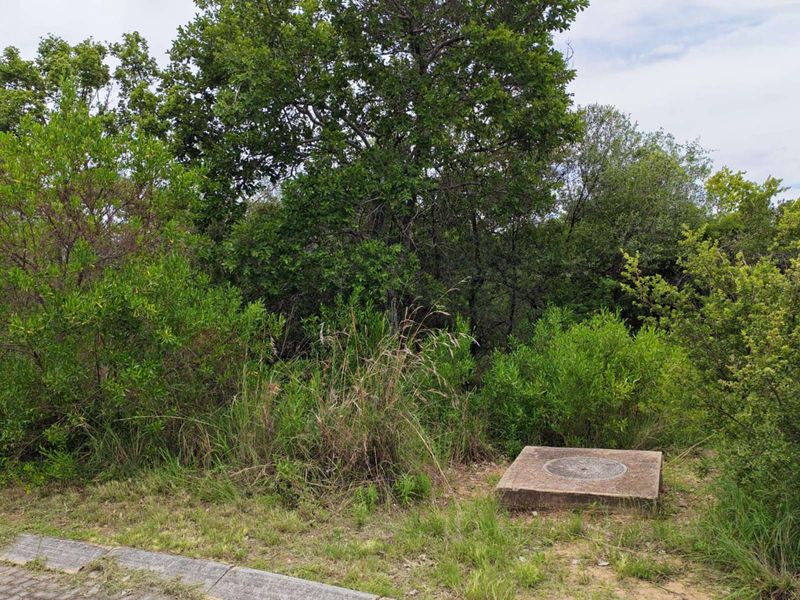 Vacant Land Residential For Sale in Koro Creek Golf Estate - Photo 7