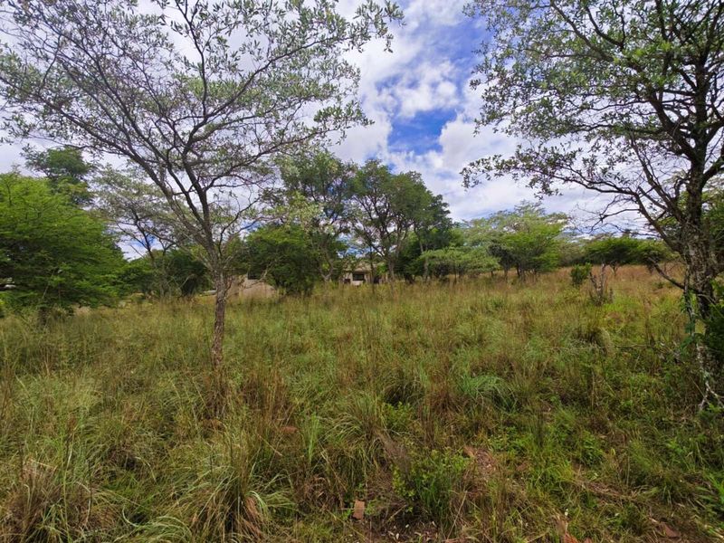Vacant Land Residential For Sale in Koro Creek Golf Estate - Photo 10
