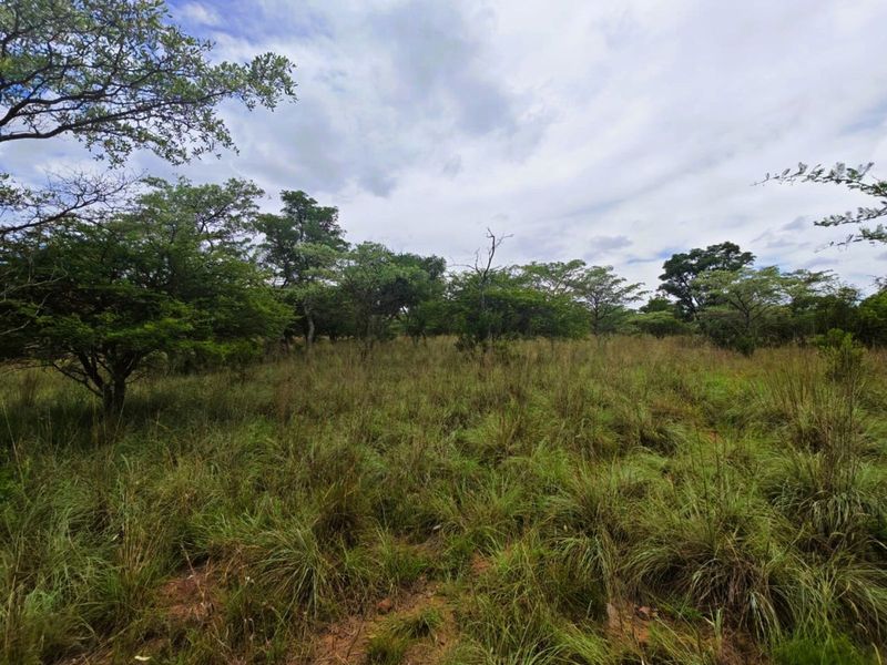 Vacant Land Residential For Sale in Koro Creek Golf Estate - Photo 8