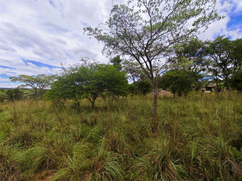 Vacant Land Residential For Sale in Koro Creek Golf Estate - Photo 2