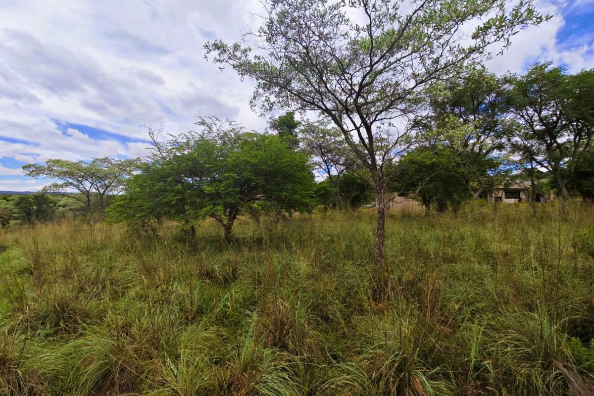 Vacant Land Residential For Sale in Koro Creek Golf Estate - Photo 2