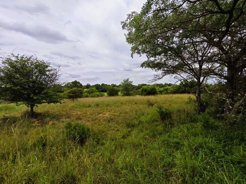 Vacant Land Residential For Sale in Koro Creek Golf Estate - Photo 6
