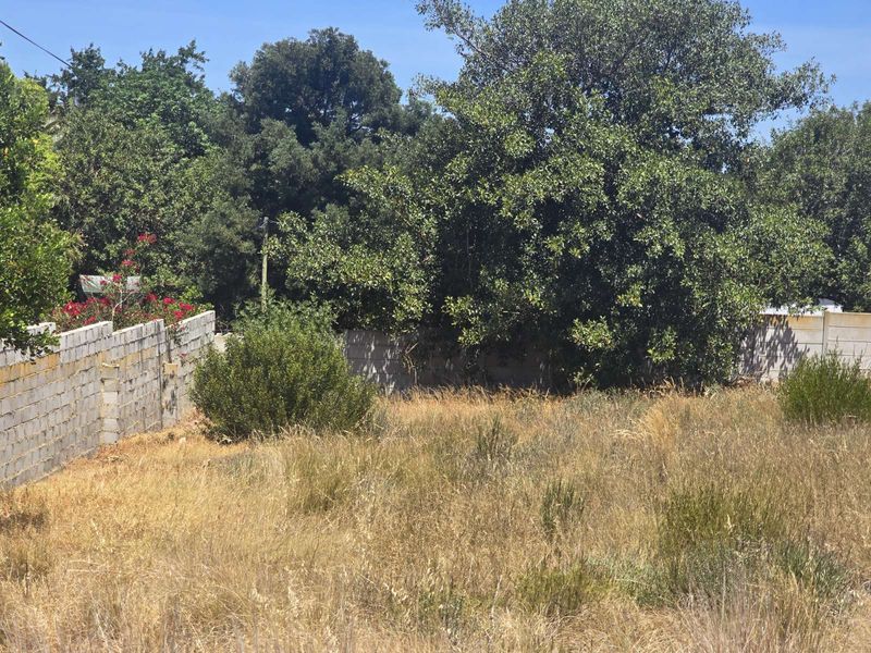 Vacant Land Residential For Sale in Ashton Central - Photo 7