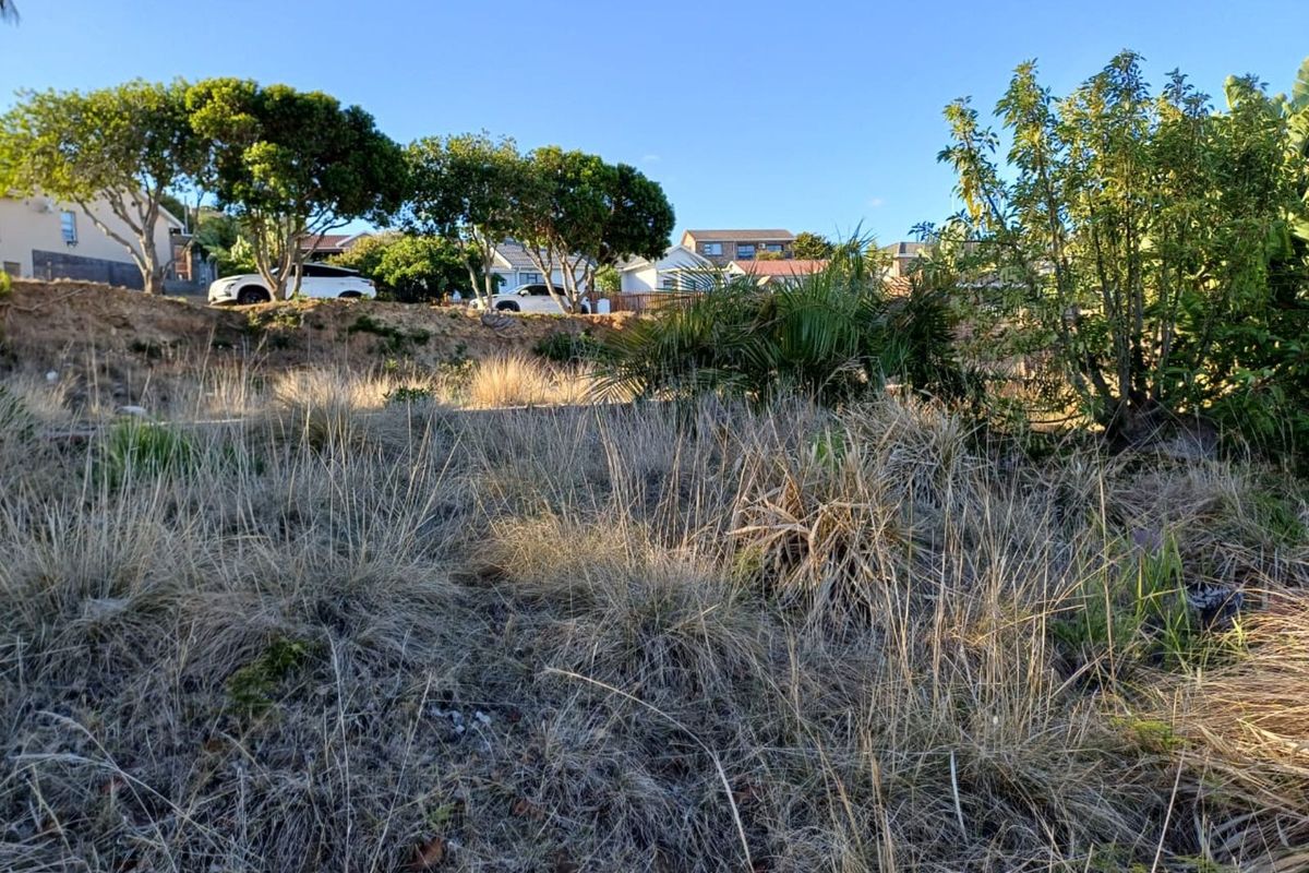 Vacant Land Residential For Sale in Dana Bay - Photo 5